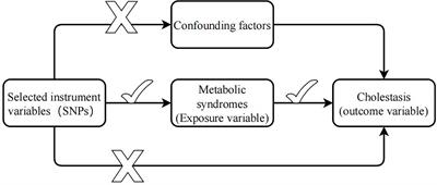 Causal association between metabolic syndrome and cholelithiasis: a Mendelian randomization study